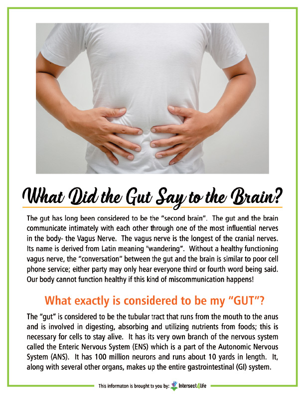 Chiropractic Evergreen CO What Did The Brain Say To The Gut