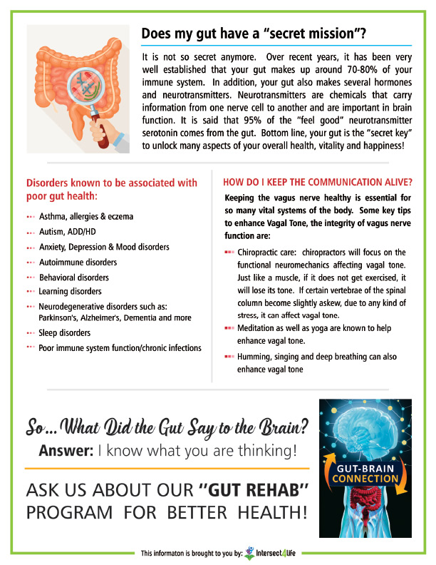 Chiropractic Evergreen CO What Did The Brain Say To The Gut